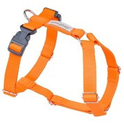 amiplay Samba szelki dla psa Guard pomarańczowe M