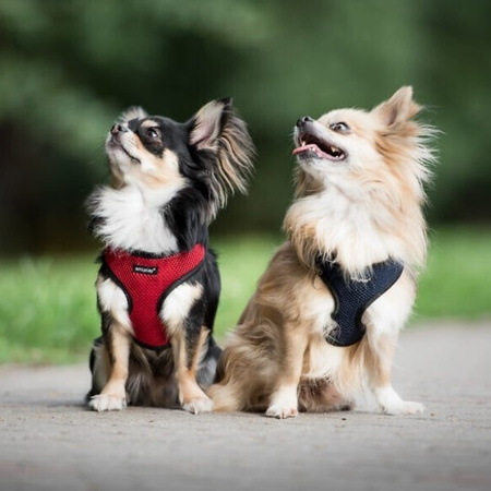 amiplay szelki dla psa Scout Air Khaki XS