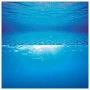 Juwel - fototapeta poster 2