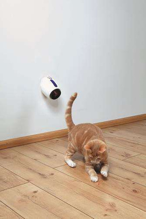 Wskaźnik laserowy, 11 cm, biało/niebieski