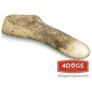 Poroże daniela gryzak dla psa M