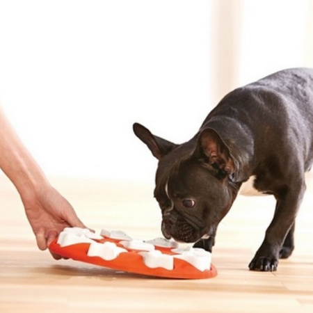 Nina Ottosson Smart gra edukacyjna dla psa