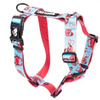 Baylabel Under The Sea szelki Guard dla psa XS