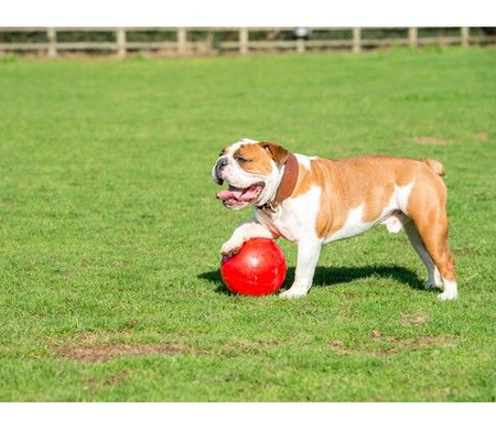 Boomer ball s - 4" / 11cm czerwona