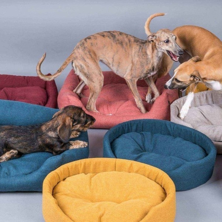 amiplay Montana sofa dla psa niebieska M