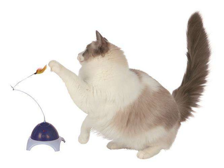 ZABAWKA DLA KOTA ZDALNIE STEROWANA