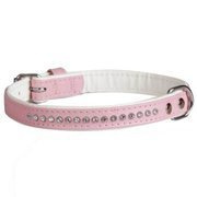 Dingo Obroża Glamour