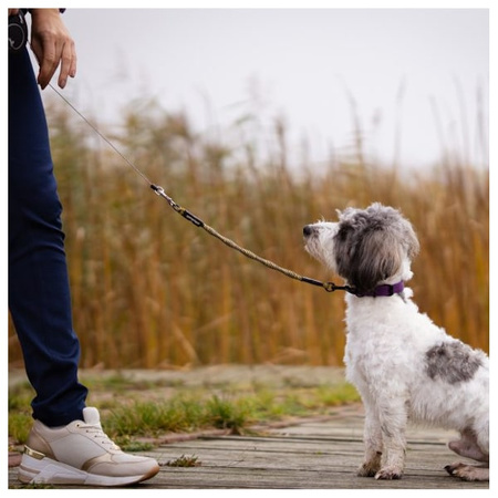 Adapter idealeash flextender maxi dla psa 