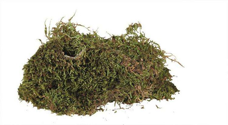 Mech, subtrat do wilgotnych terarriów, 200 g