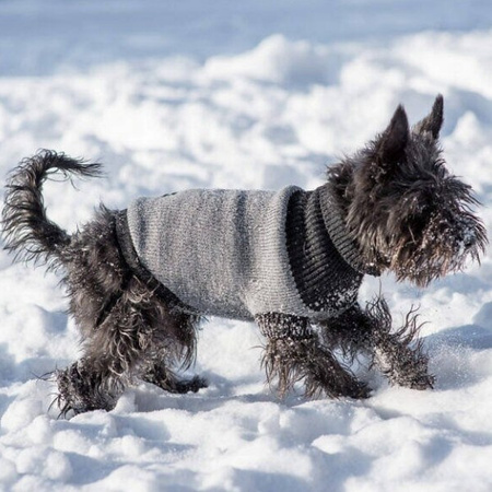 amiplay Oslo sweterek dla psa szary 19 cm