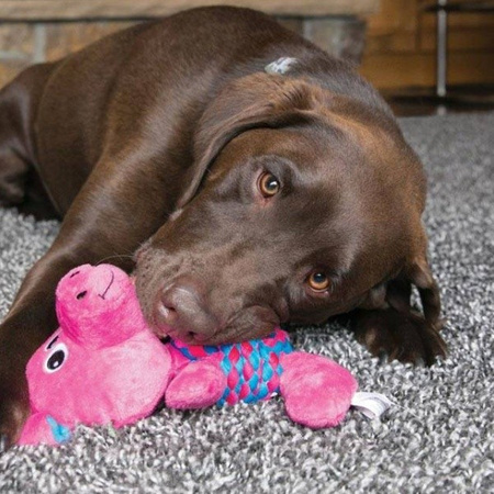 Kong Weave Knots Pig dla psa M