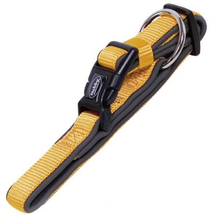 Nobby obroża classic preno dla psa pomarańczowa