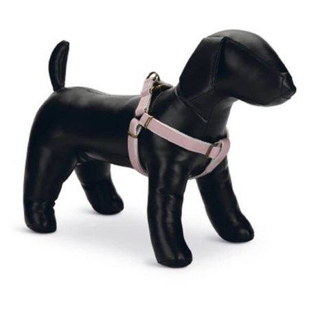 Designed by lotte virante szelki dla psa