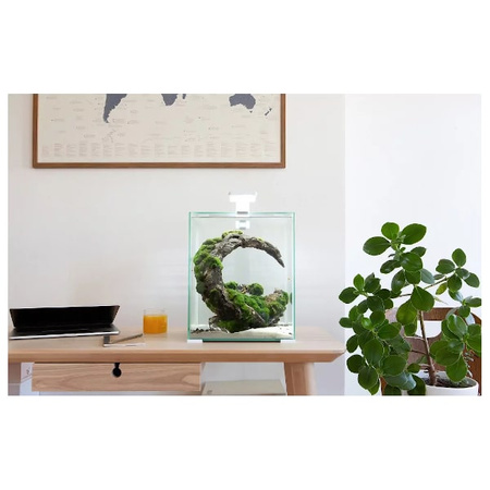 Shrimp Set Day & Night 10l czarny