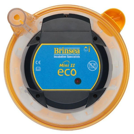 Wylęgarka do jaj gadów/kur Olba brinsea eco 