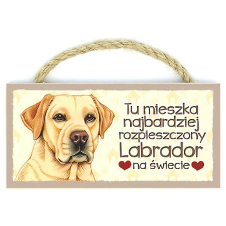 Power gift magnez z pupilem - labrador biszkopt
