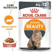 Royal Canin Intense Beauty w sosie  karma mokra dla kotów dorosłych, zdrowa skóra, piękna sierść saszetka 85g