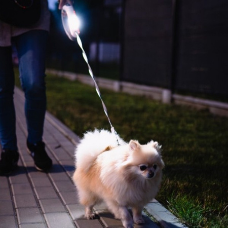 Smycz dla psa, automatyczna, okrągła, biało-szara, taśma, ładowanie USB, 3m