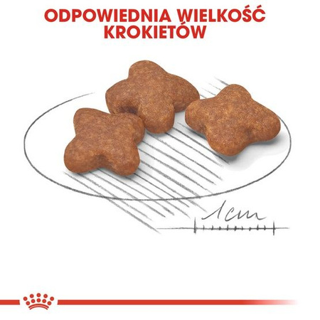 Royal canin mini adult 8+ karma sucha dla psów starszych od 8 do 12 roku życia, ras małych 2kg