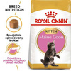Royal Canin Maine Coon Kitten karma sucha dla kociąt, do 15 miesiąca, rasy maine coon 4kg