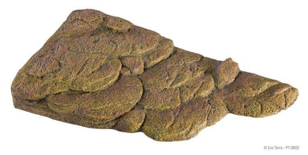 Wyspa dla żółwia, L