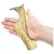 Poroże daniela gryzak dla psa XL