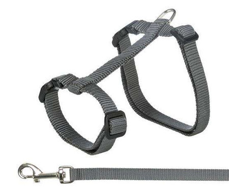 SZELKI DLA DUZEGO KOTA