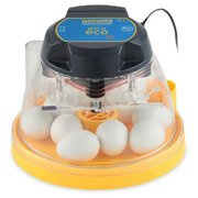 Wylęgarka do jaj gadów/kur Olba brinsea eco