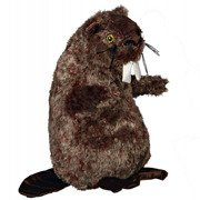 Zabawka BÓBR plusz 40 cm