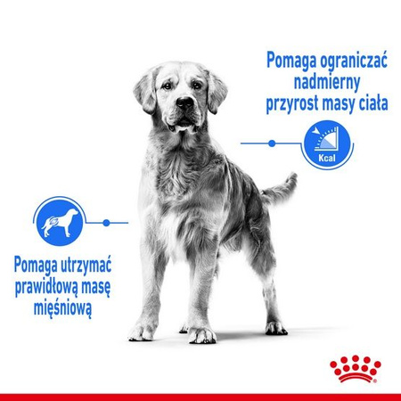 Royal canin medium light weight care karma sucha dla psów dorosłych, ras średnich tendencją do nadwagi 3kg