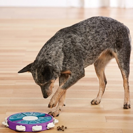 Nina Ottosson Twister gra edukacyjna dla psa