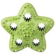 Barry King gwiazda na przysmaki, zielona 12,5cm