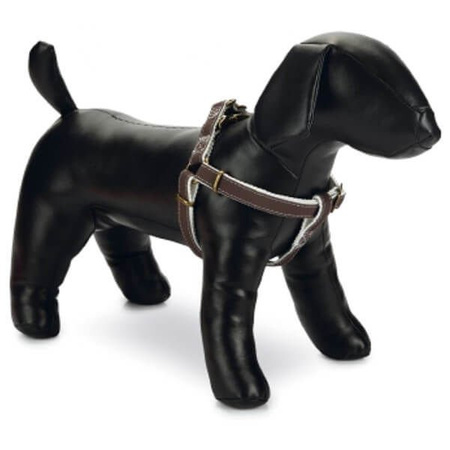 Designed by lotte virante szelki dla psa