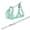 Miękkie szelki dla szczeniąt ze smyczą Junior, 26–34 cm/10 mm, 2.00 m, kolor miętowy