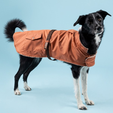 amiplay Bled płaszcz przeciwdeszczowy pomarańczowy dla psa 32 cm