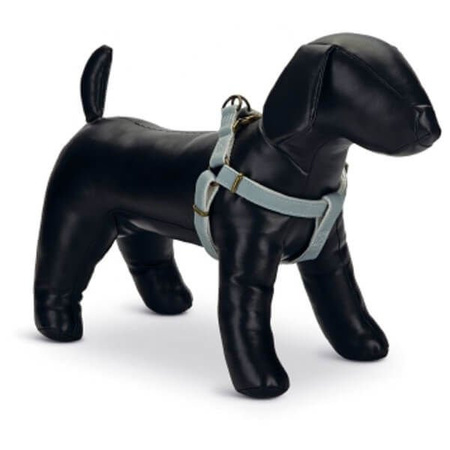 Designed by lotte virante szelki dla psa