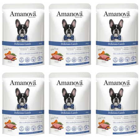 ZESTAW Amanova Adult Delicvious Jagnięcina saszetka 6 x 100 g