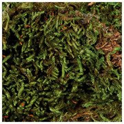 Mech, subtrat do wilgotnych terarriów, 200 g