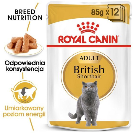Royal canin british shorthair karma mokra w sosie dla kotów dorosłych rasy brytyjski krótkowłosy saszetka 85g