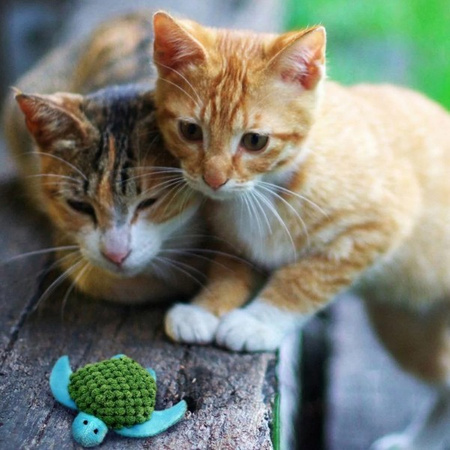 Kong Refillables Turtle dla kota