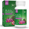 Pokusa RawDietLine Cistus / Czystek 120 tablets