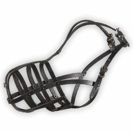 Dino kaganiec skórzany nitowany 13 owczarek niemiecki średni