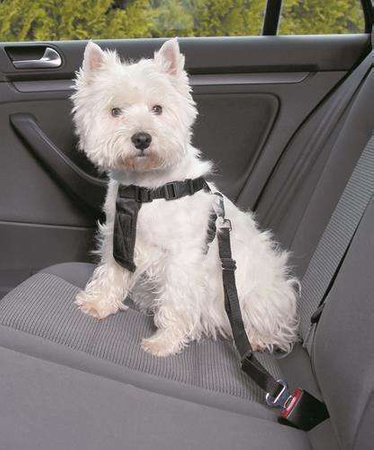 SZELKI SAMOCH. DLA PSA L