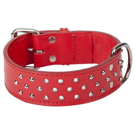 Dingo obroża skórzana potrójnie puklowana dla psa 5x60 cm