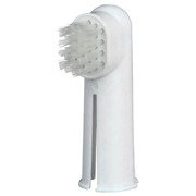 ZESTAW SZCZOTEK DO ZĘBÓW 2szt.