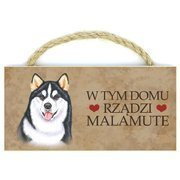 Power gift magnez z pupilem - malamut