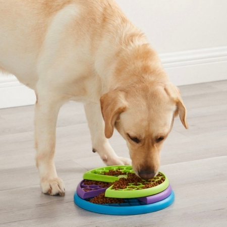 Nina Ottosson Lickin Layers Large gra edukacyjna dla psa