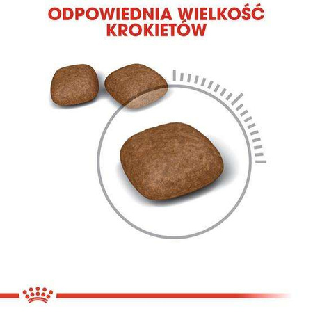 Royal canin urinary care karma sucha dla kotów dorosłych, ochrona dolnych dróg moczowych 4kg