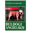 Buldogi angielskie