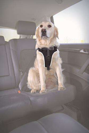 Szelki samochodowe dla psa (XL) 80–100 cm/25 mm